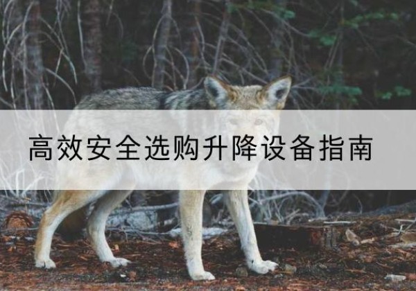 金堂升降货梯厂家推荐-*安全选购升降设备指南
