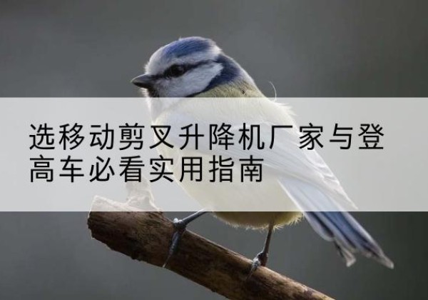 金堂电动升降机厂家-选移动剪叉升降机厂家与登高车必看实用指南