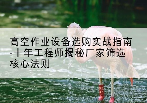 金堂剪叉式升降机厂家-高空作业设备选购实战指南-十年工程师揭秘厂家筛选核心法则